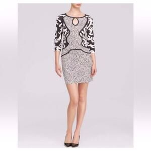 Diane von Furstenberg Rose Heart Firebird Silk Knit Dress Black Ivory Size 8